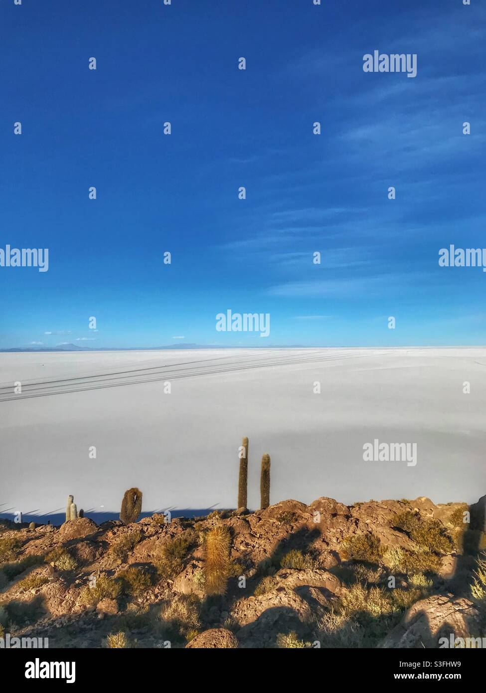 View of the Uyuni Salt Flat from Isla Incahuasi, Bolivia Stock Photo