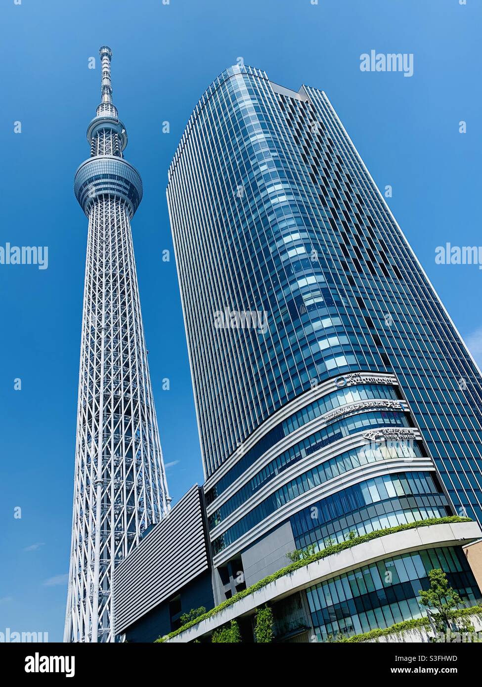 Tokyo Skytree Is Located In Sumida City Tokyo It S The Tallest Tower In Japan Measuring 634 Meters In Height It Is Beautiful But It Looks More Attractive On A Sunny Day Stock