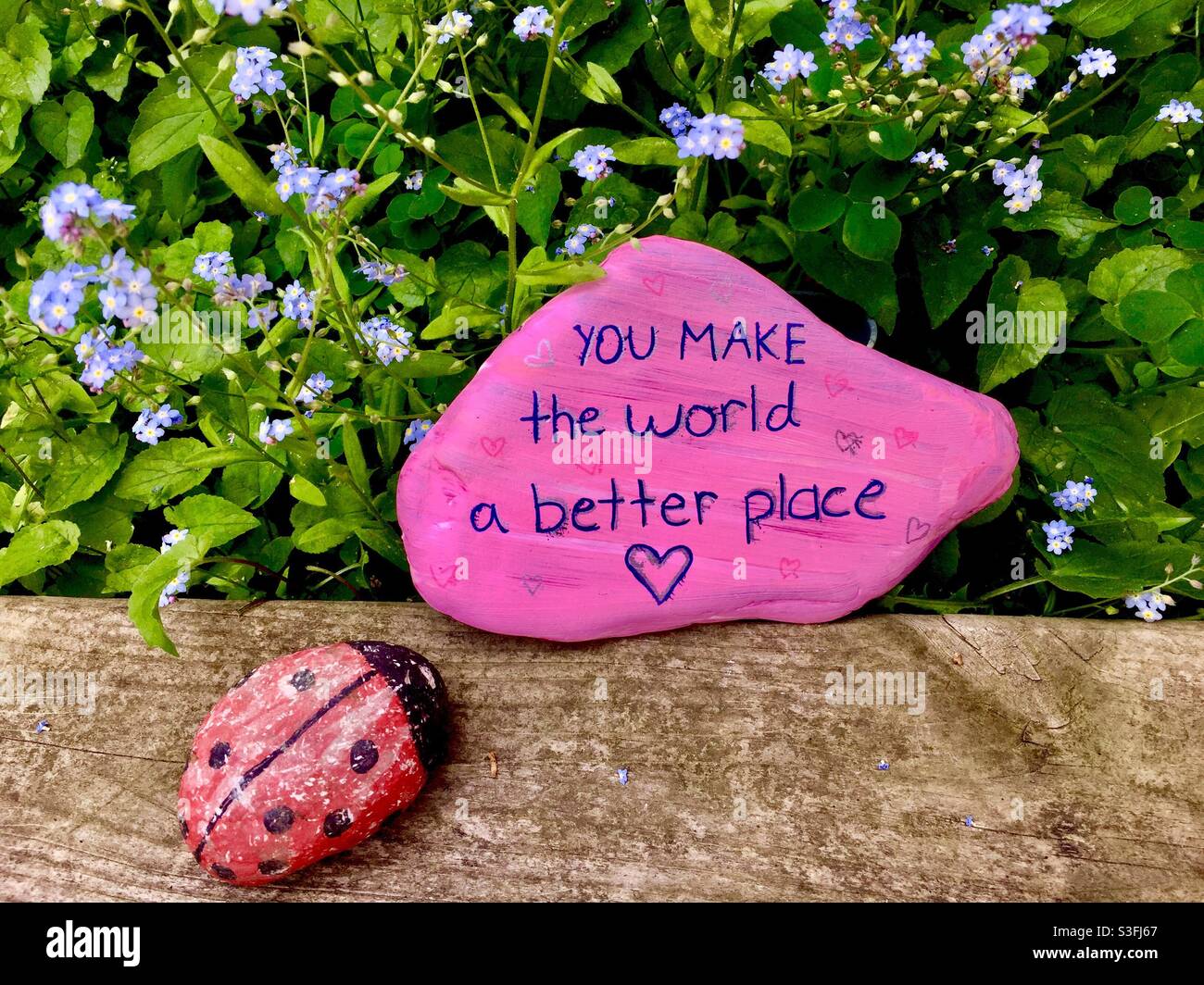 Lady bug to humans, on a backdrop of forget-me-nots. Small pieces of local art left in public spaces to promote positive thoughts and actions. Social media links. Ontario, Canada - Smartphone Captured Stock Image
