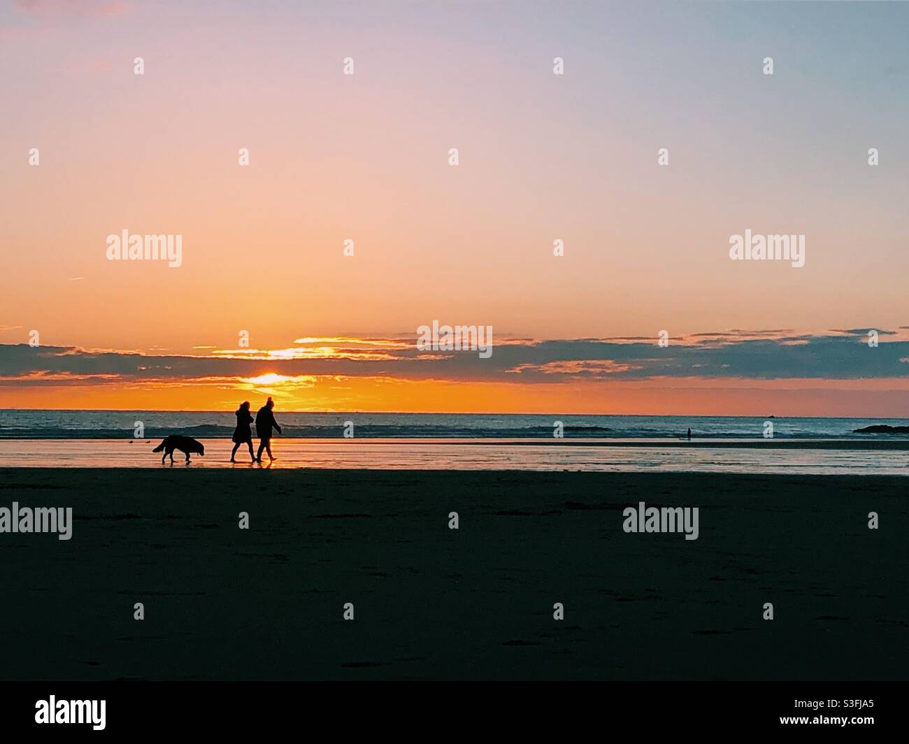 A couple walking their dog on a beach a sunset. - Smartphone Captured Stock Image