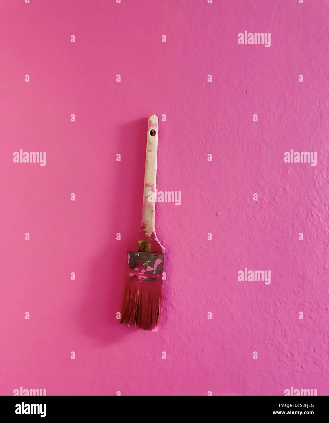 Pink painted wall and pink paint brush Stock Photo Alamy