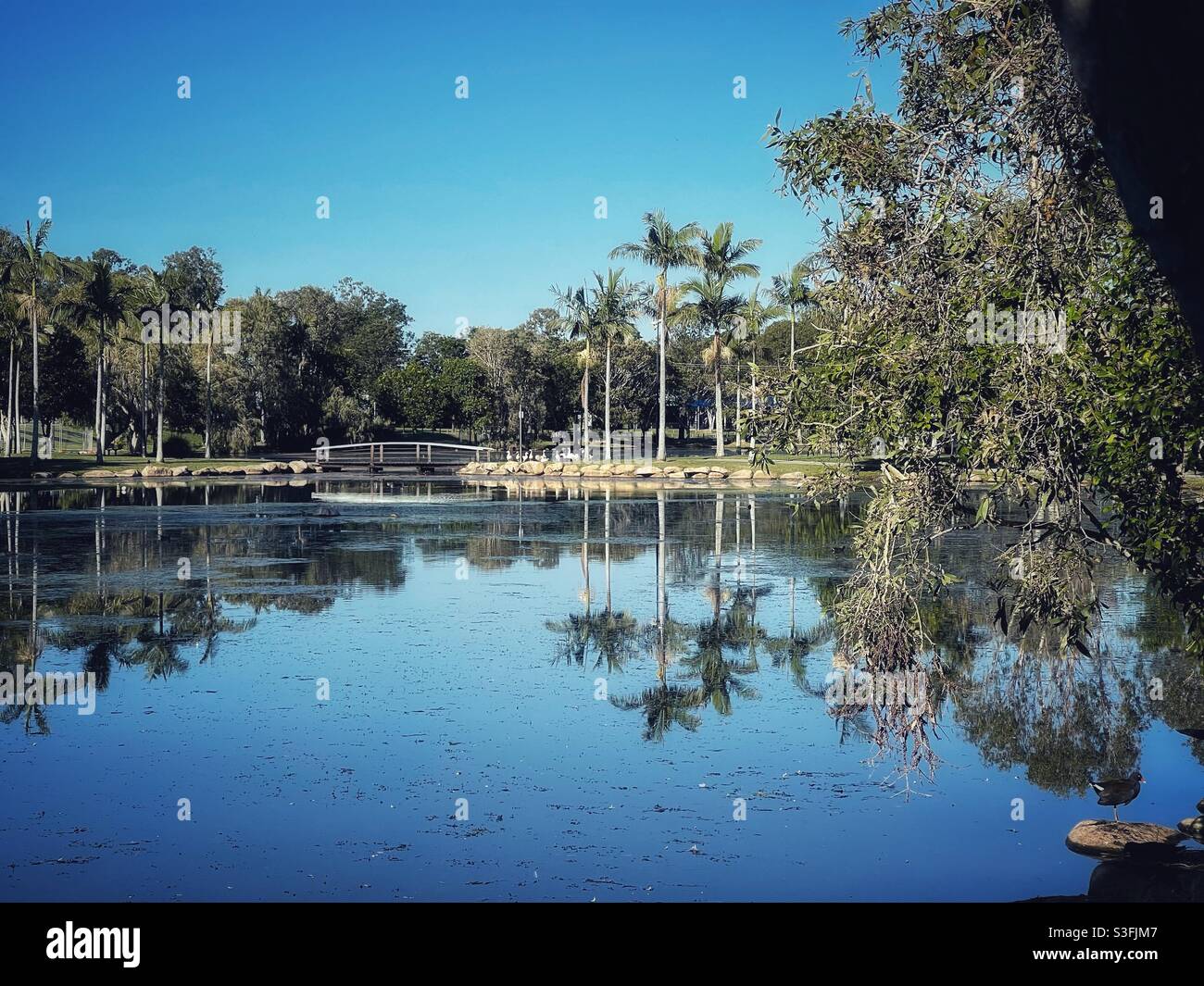 Lake in Centenary Lakes Park, Caboolture, Queensland, Australia Stock Photo Alamy