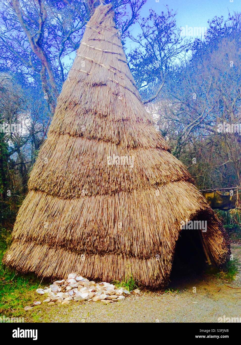 Irish National Heritage Park -recreation of ancient campsite.  Thatched huts inspired by archaeological digs on Mount Sandel, County Derry. Huts  would have been made from tree branches, reeds and mud Stock Photo