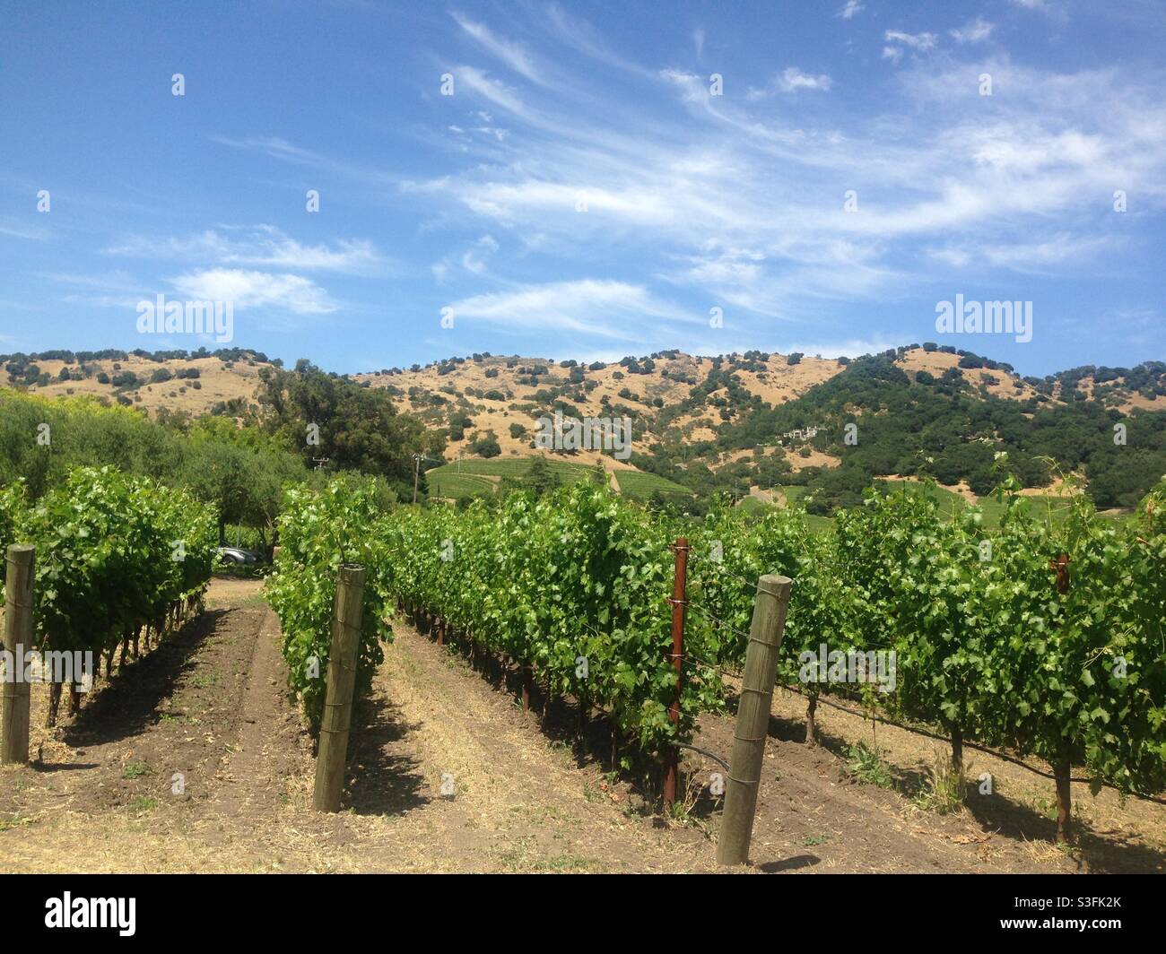 Napa Valley winery Stock Photo