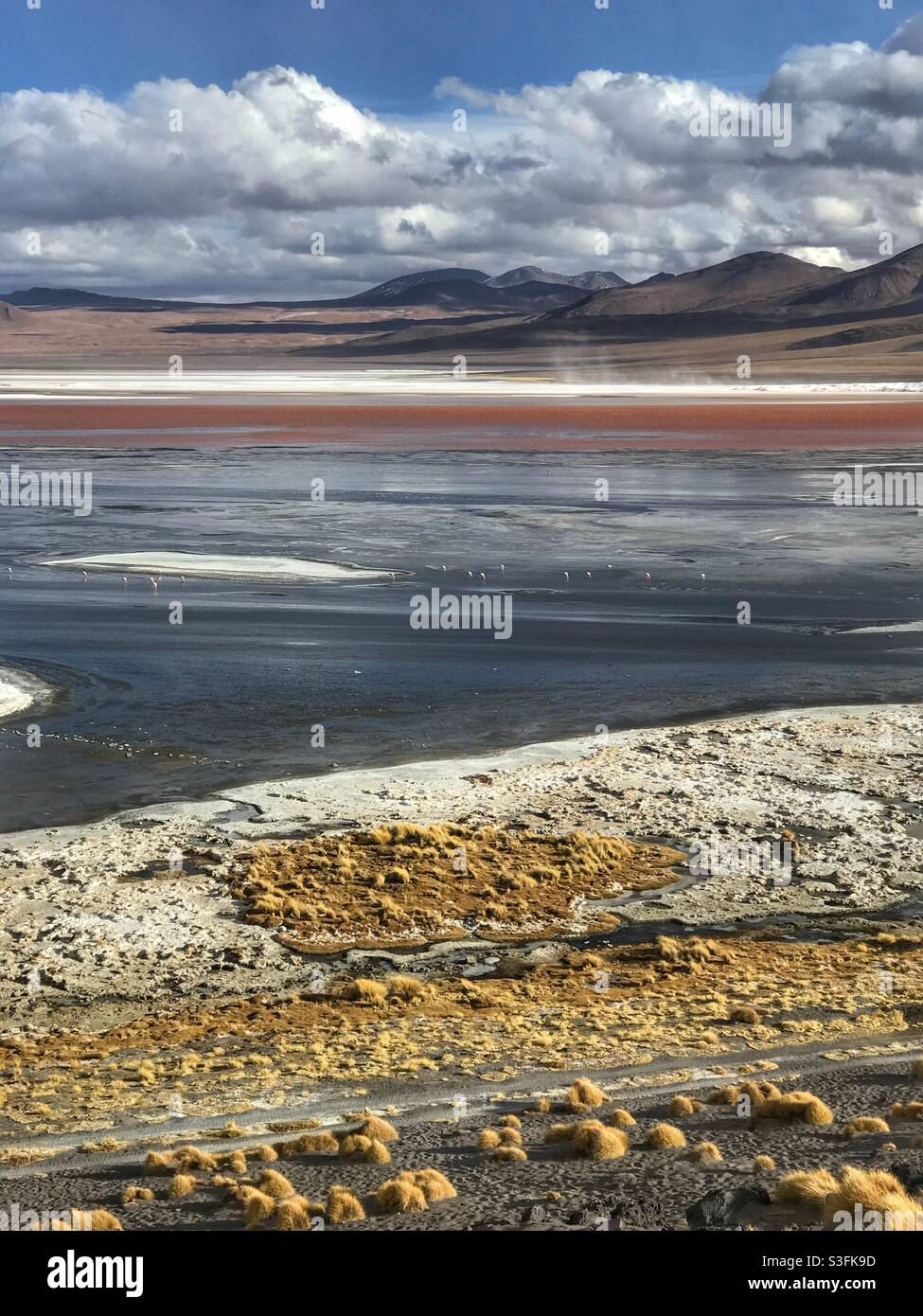 Vertical view of Laguna Colorada,Bolivia - Smartphone Captured Stock Image