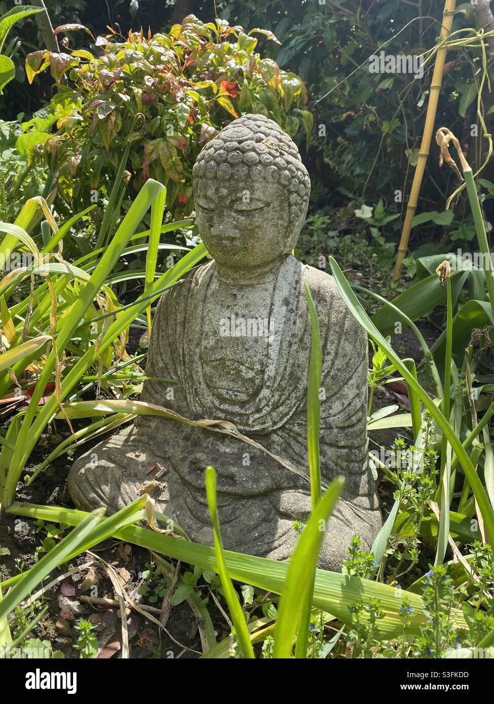 Buddha garden statue Stock Photo Alamy
