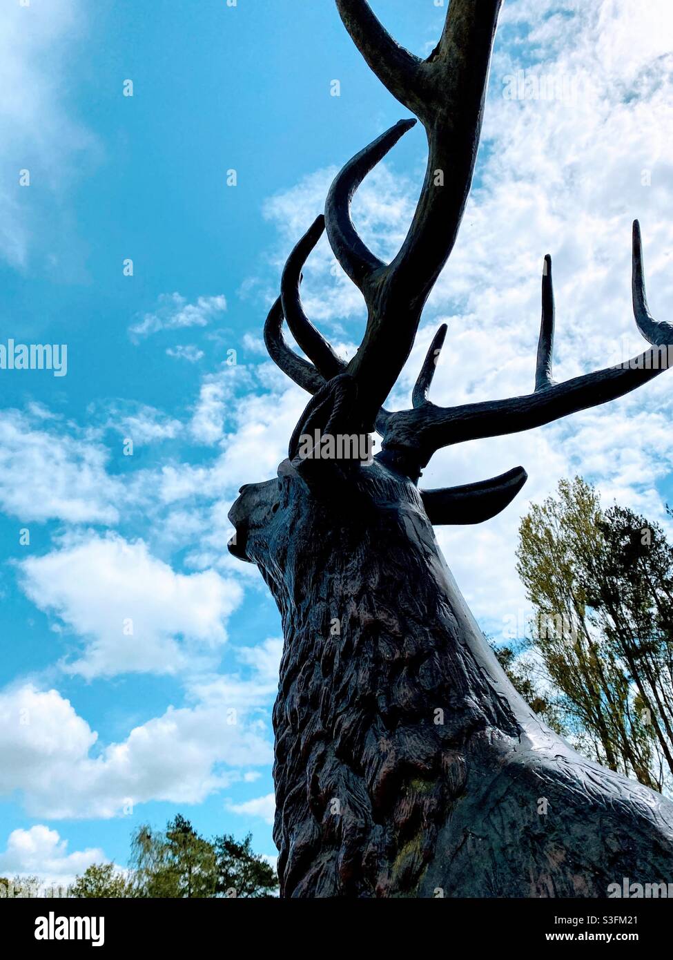 A bronze stag statue in garden grounds Stock Photo Alamy