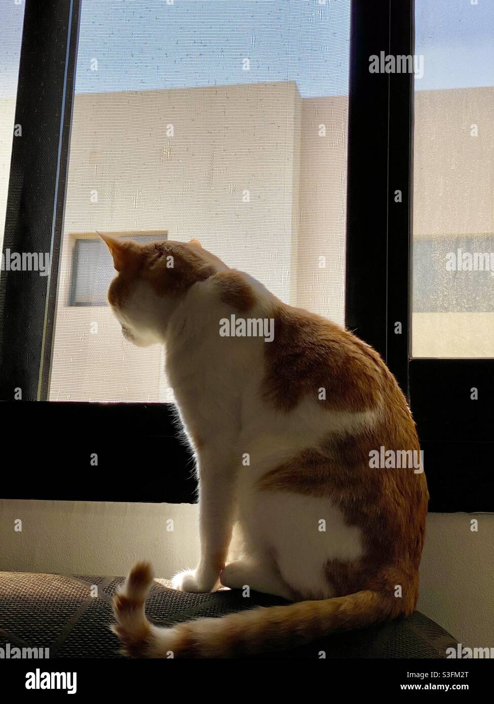 I Am Happy High Resolution Stock Photography And Images Alamy