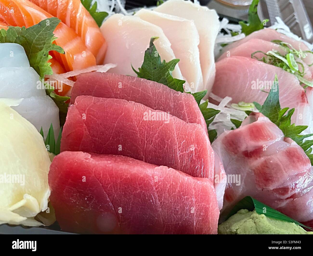 Close up of a sashimi dinner meal - Smartphone Captured Stock Image