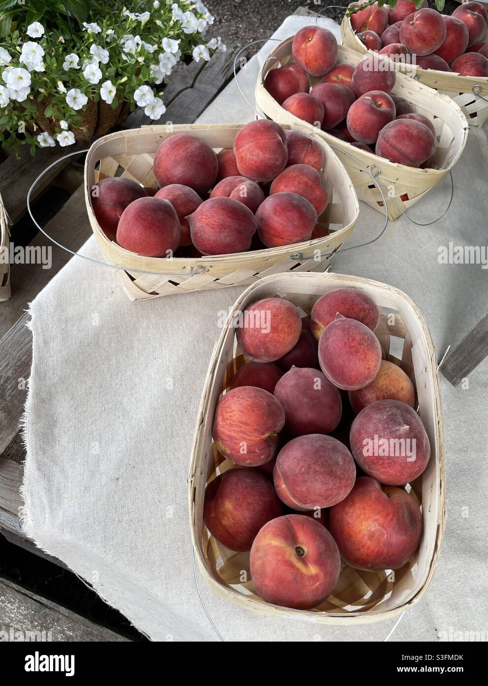 Farm picked Florida peaches in baskets Stock Photo Alamy