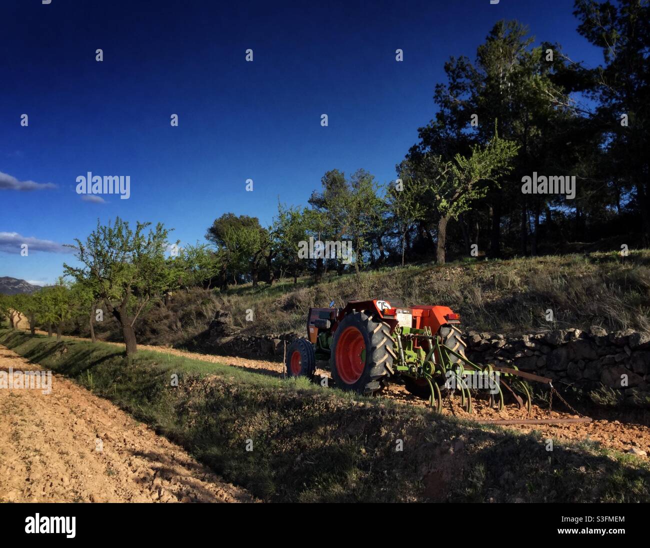 Ploughing almond terraces, Catalonia, Spain. Stock Photo