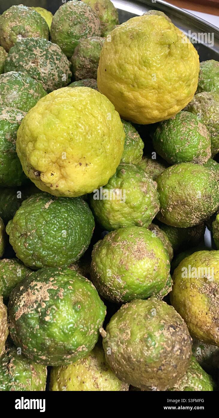 Rough skin lemon Stock Photo Alamy