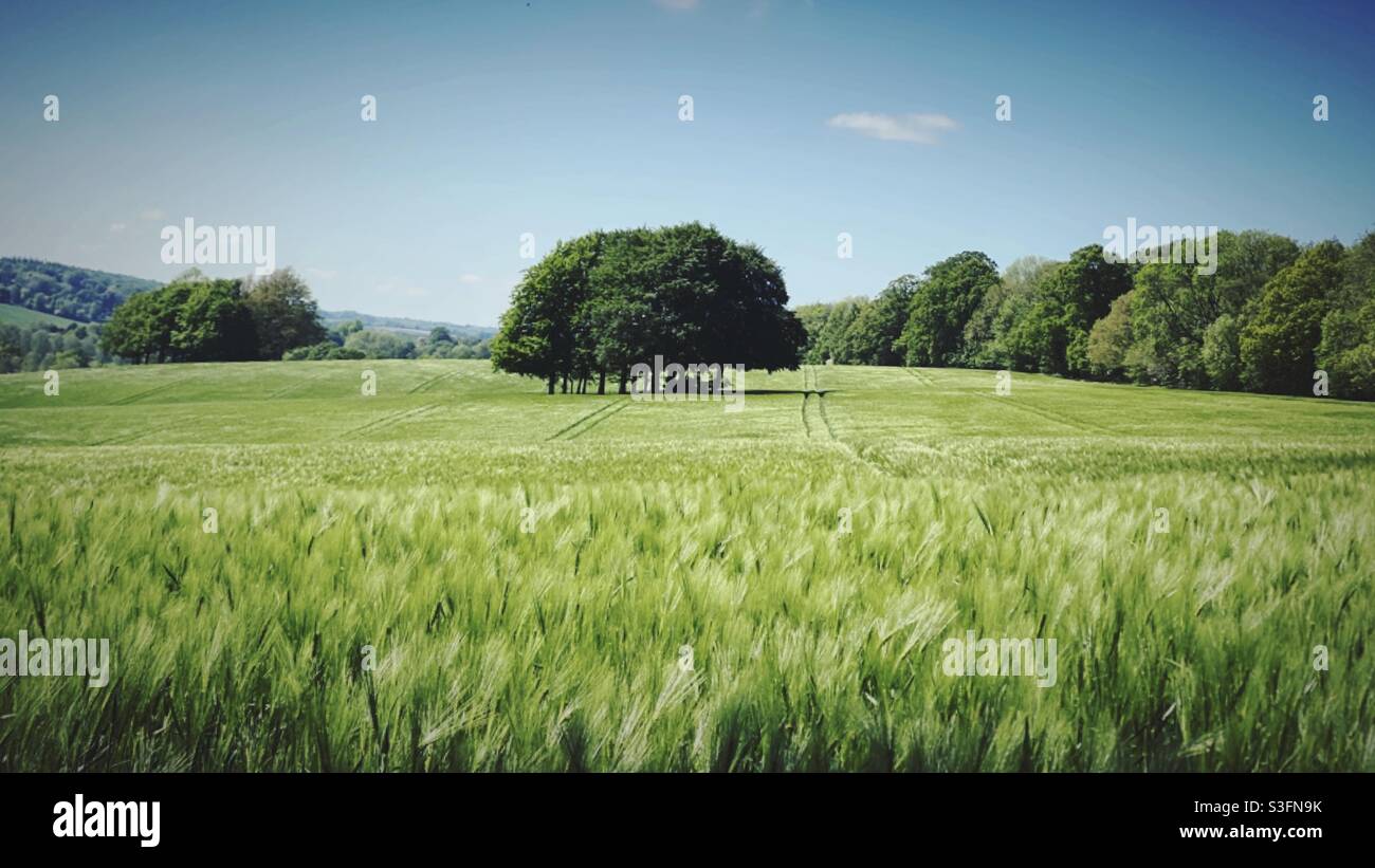 British Countryside Latimer Buckinghamshire Stock Photo