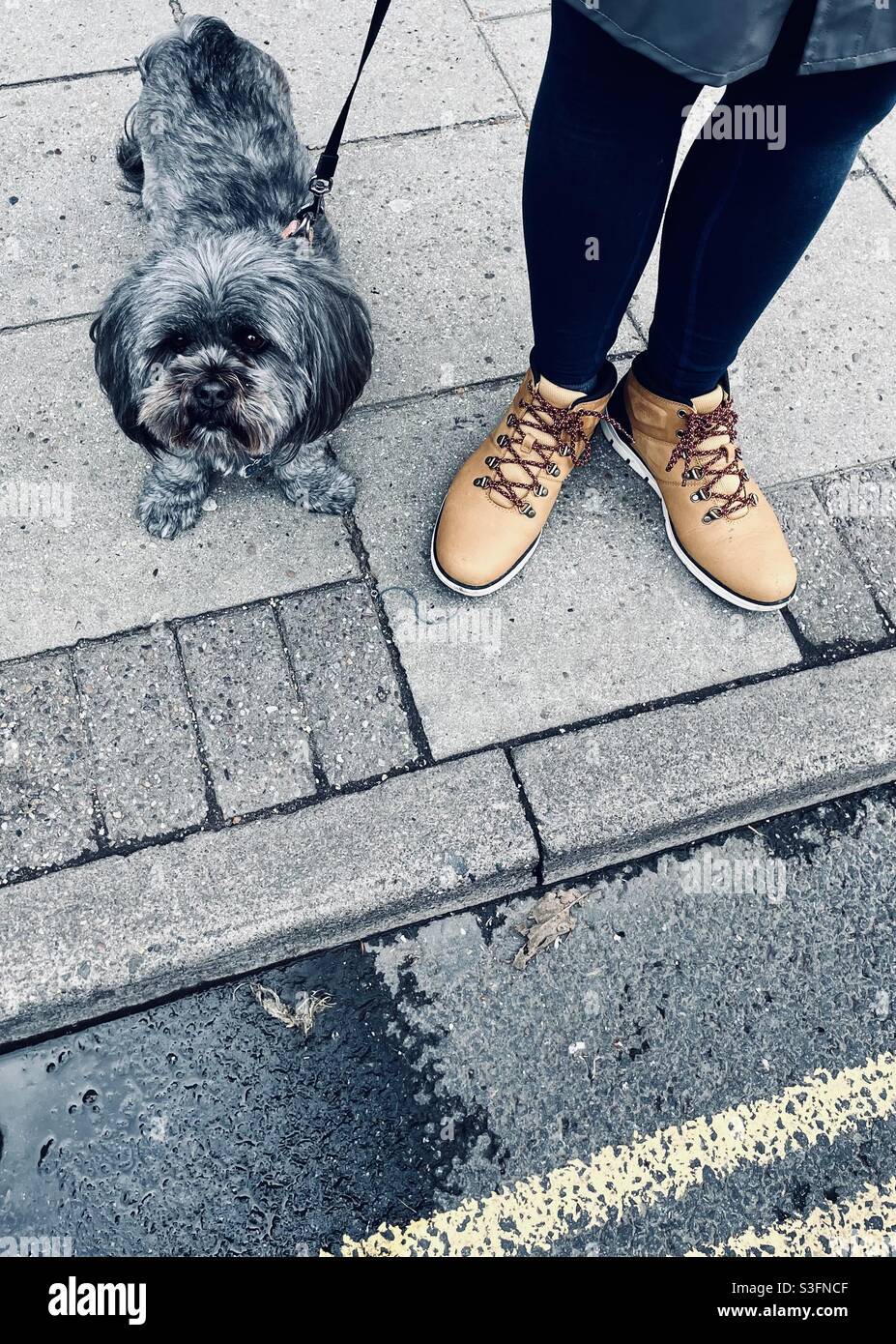 Dog and owner With matching feet Stock Photo Alamy