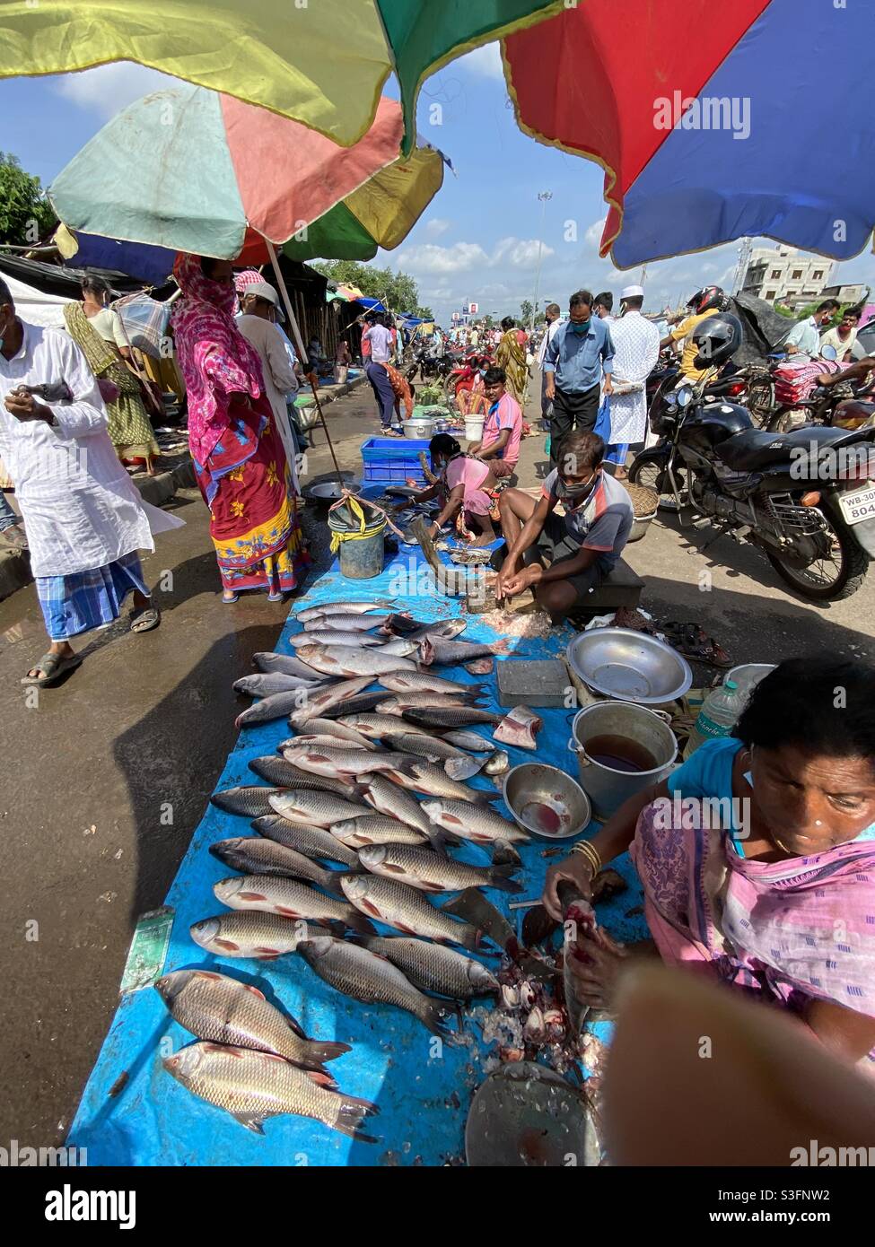 Fishermen are selling fishes to the customers in an open sky market in India - Smartphone Captured Stock Image