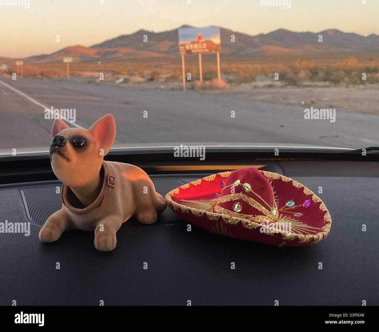 Bobble head chihuahua, guiding us through the desert! Stock Photo