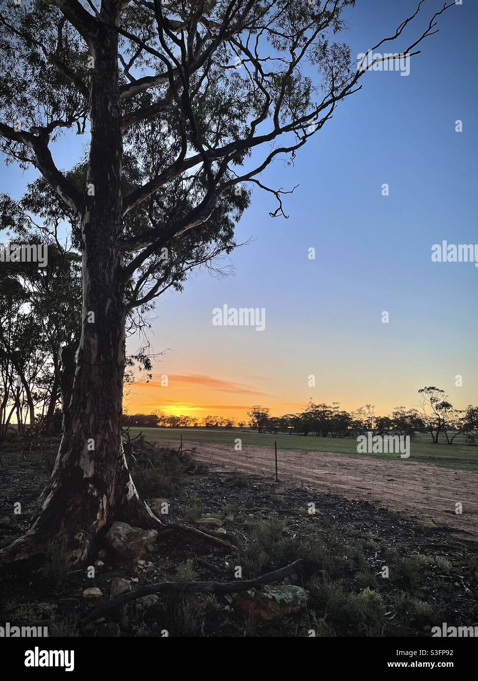 Australian sunrise hi-res stock photography and images - Alamy