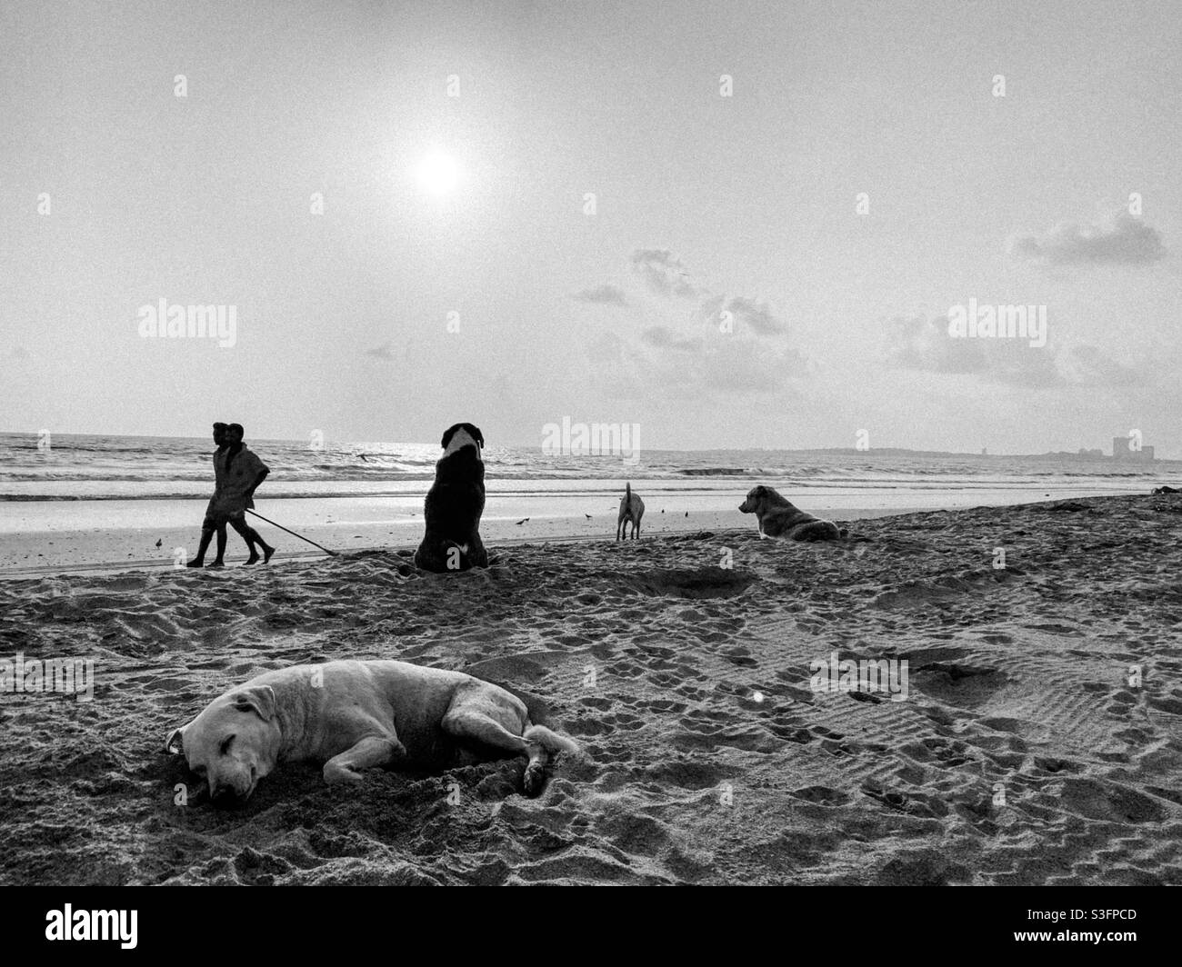 Juhu Beach view during lockdown. - Smartphone Captured Stock Image