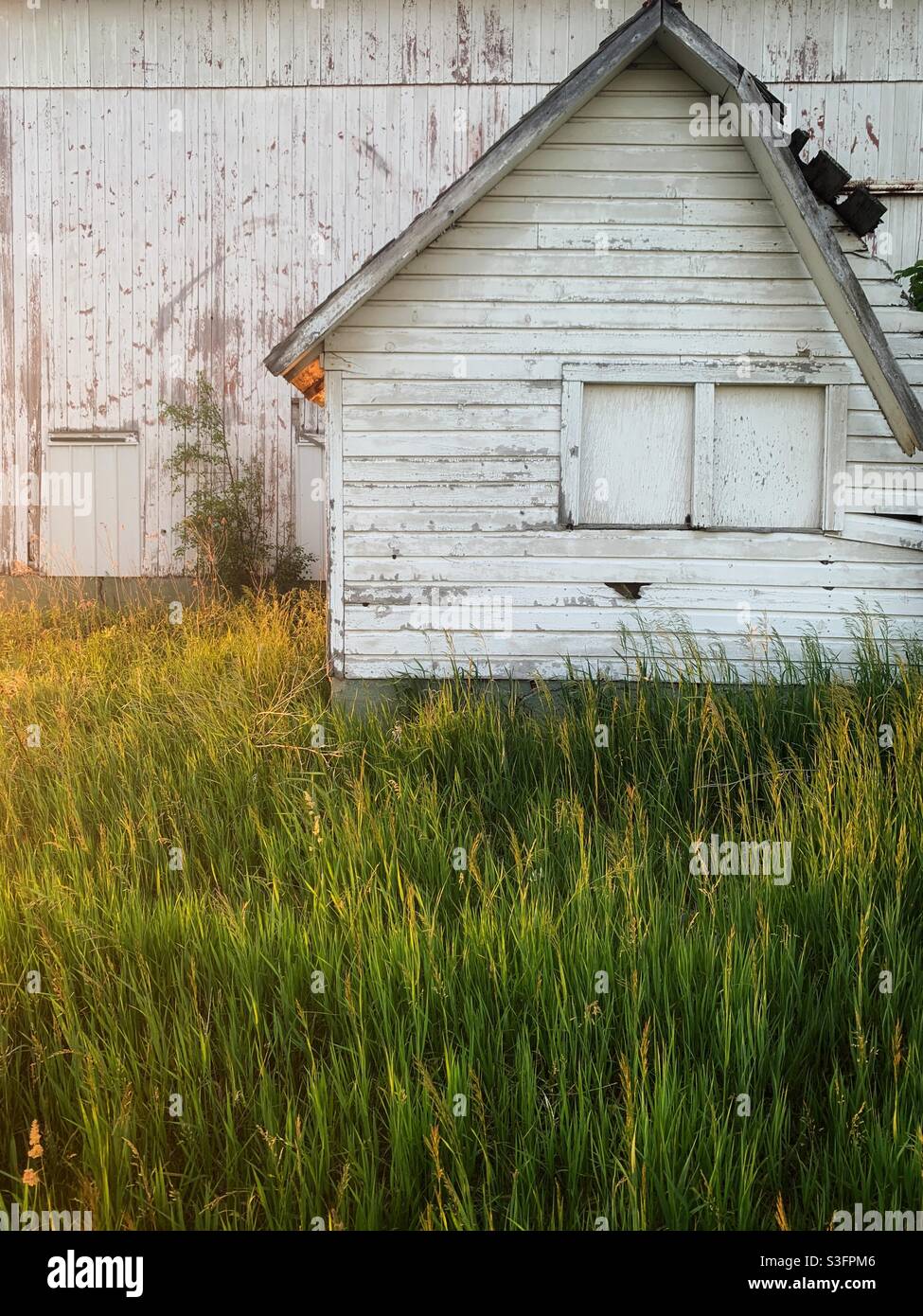 Old barn during golden hour - Smartphone Captured Stock Image