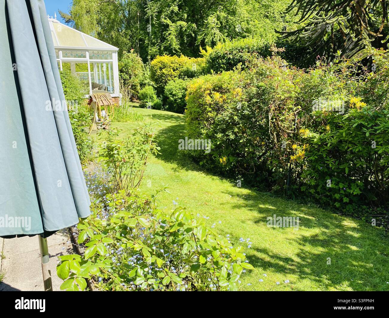 Just a typical English country garden ? Stock Photo