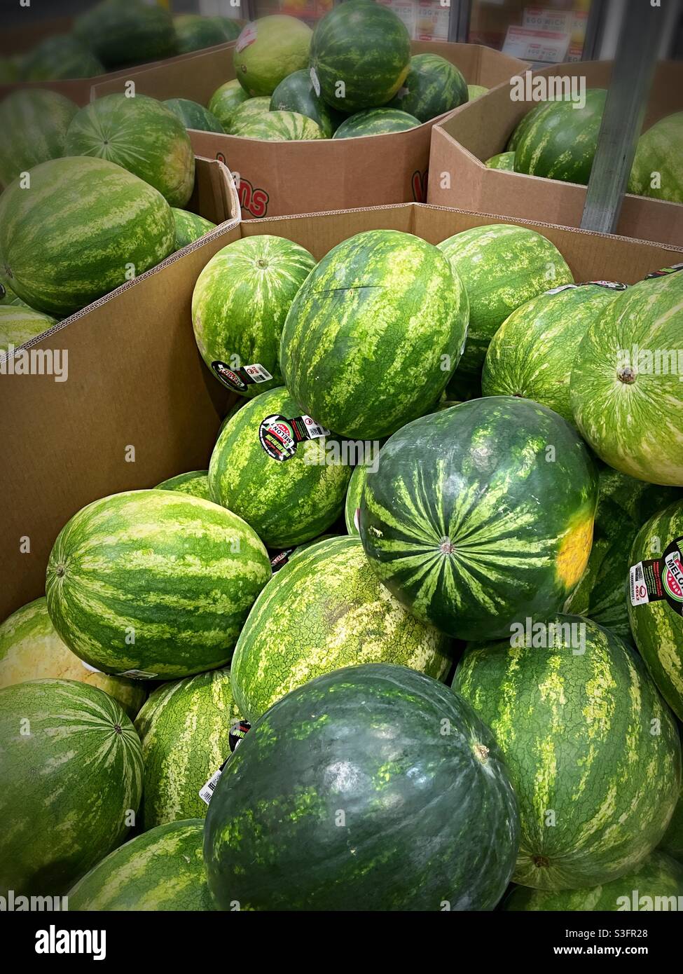 Cardboard boxes of fresh uncut whole watermelon’s at a grocery store produce aisle, USA - Smartphone Captured Stock Image