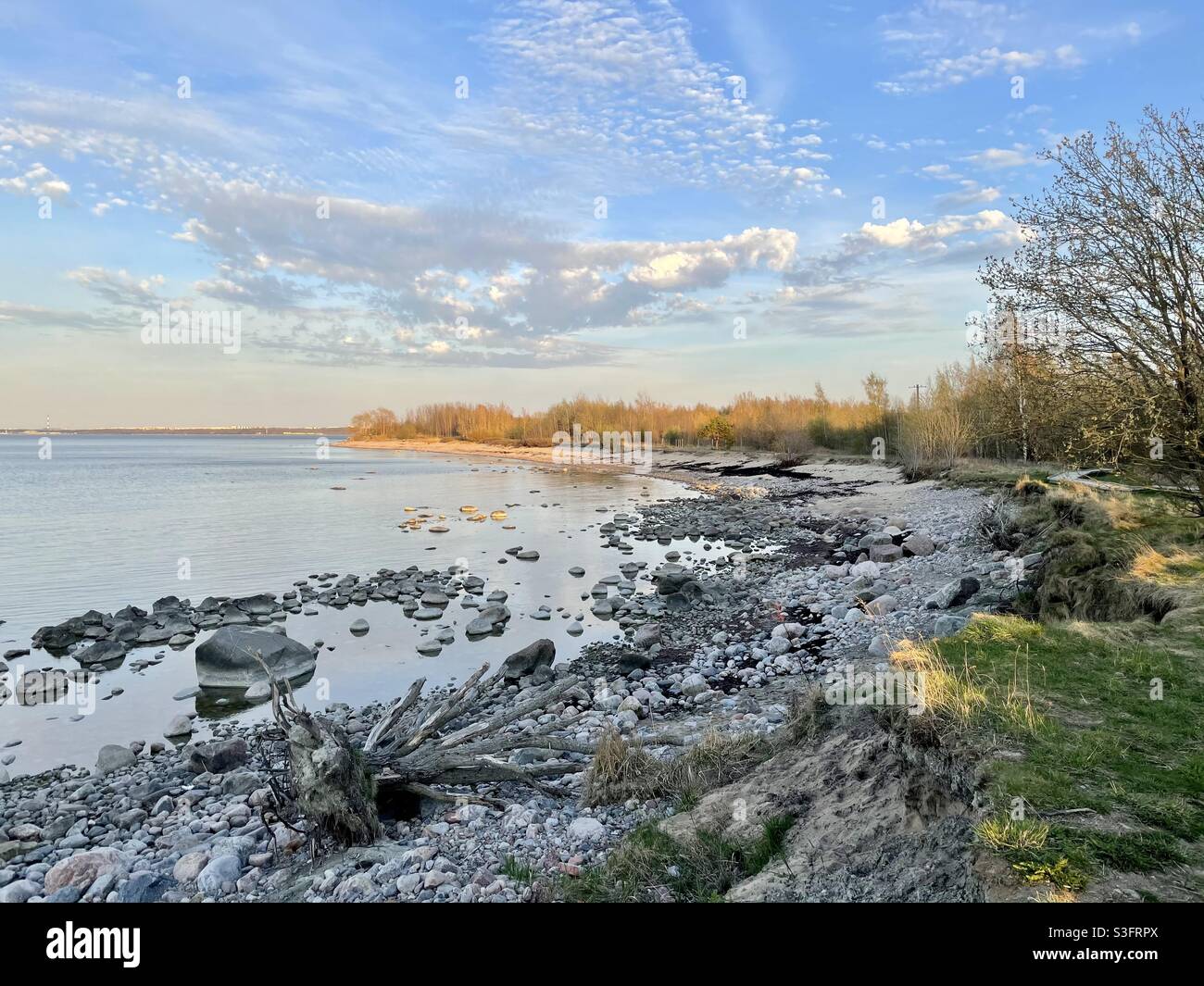Sunny spring evening by the sea in Estonia, Tallinn Stock Photo