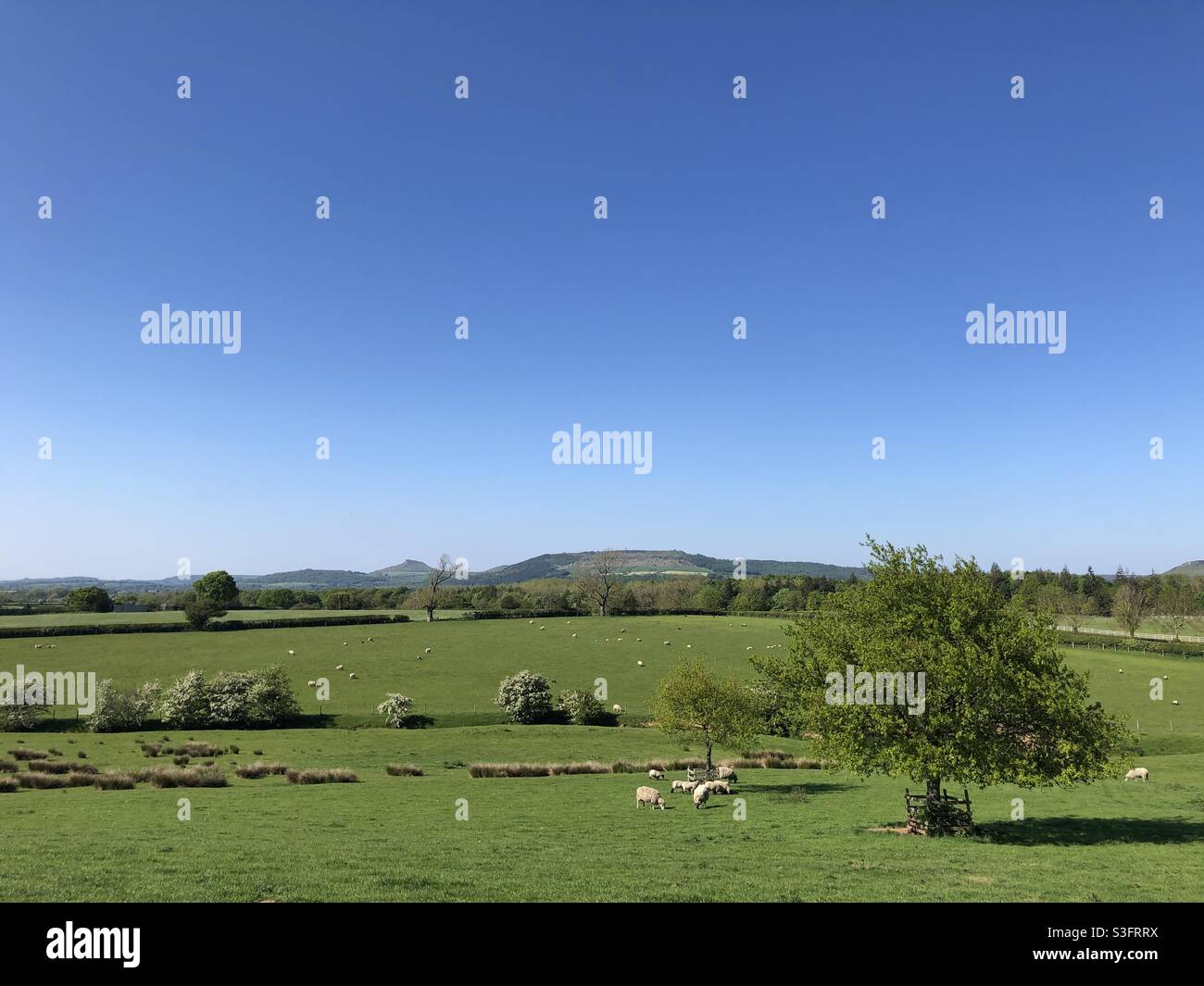 View of fields across to Roseberry Topping near Middlesbrough, United Kingdom - Smartphone Captured Stock Image