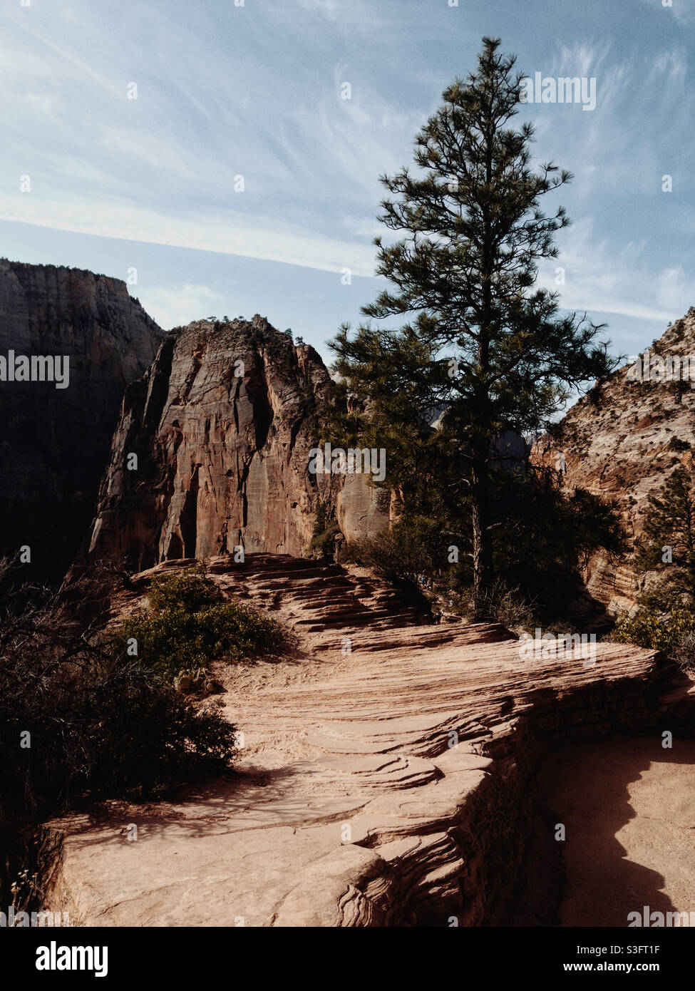 Zion National park - Smartphone Captured Stock Image