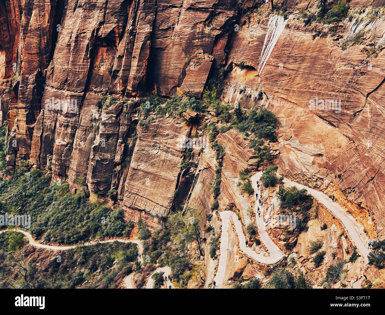Meandering trail to Angel’s Landing in Zion national national park - Smartphone Captured Stock Image