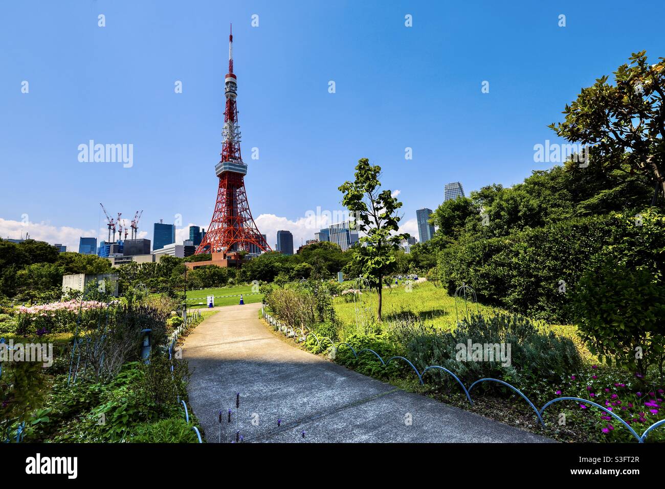 Tokyo Tower is located in 4 Chome 2-8, Shiba Park in Minato Ward, Tokyo, Japan, 2nd tallest Tower in Japan, measuring height 332.9 meters. Stock Photo