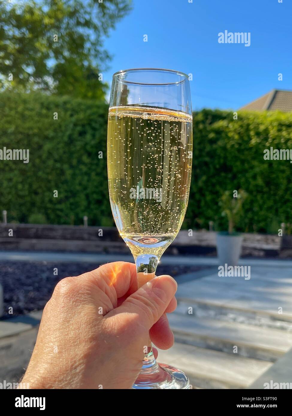 Person holding a flute glass of champagne at a party in a garden - Smartphone Captured Stock Image