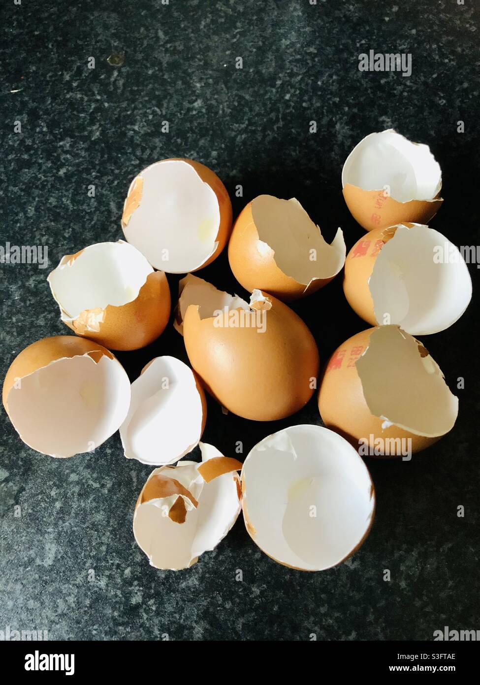 Egg shell shells hires stock photography and images Alamy