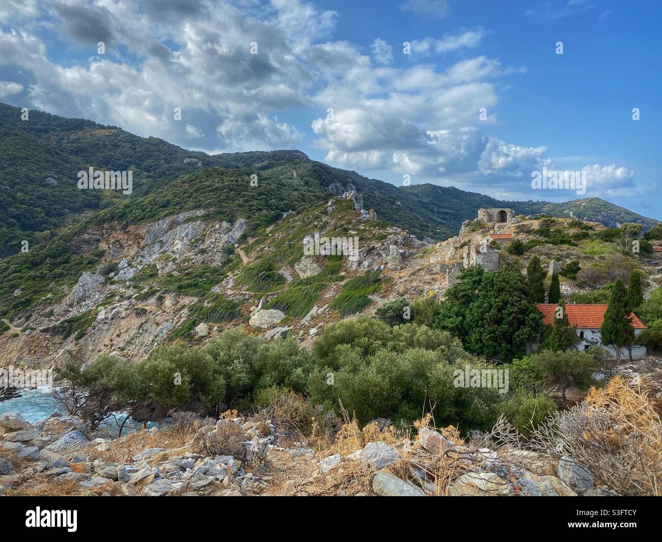 Green mountains, olive trees and Kastro fortress ruins on Skiathos island, Greece. - Smartphone Captured Stock Image