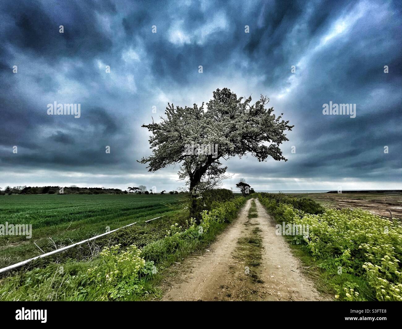 The road to the sea - Smartphone Captured Stock Image