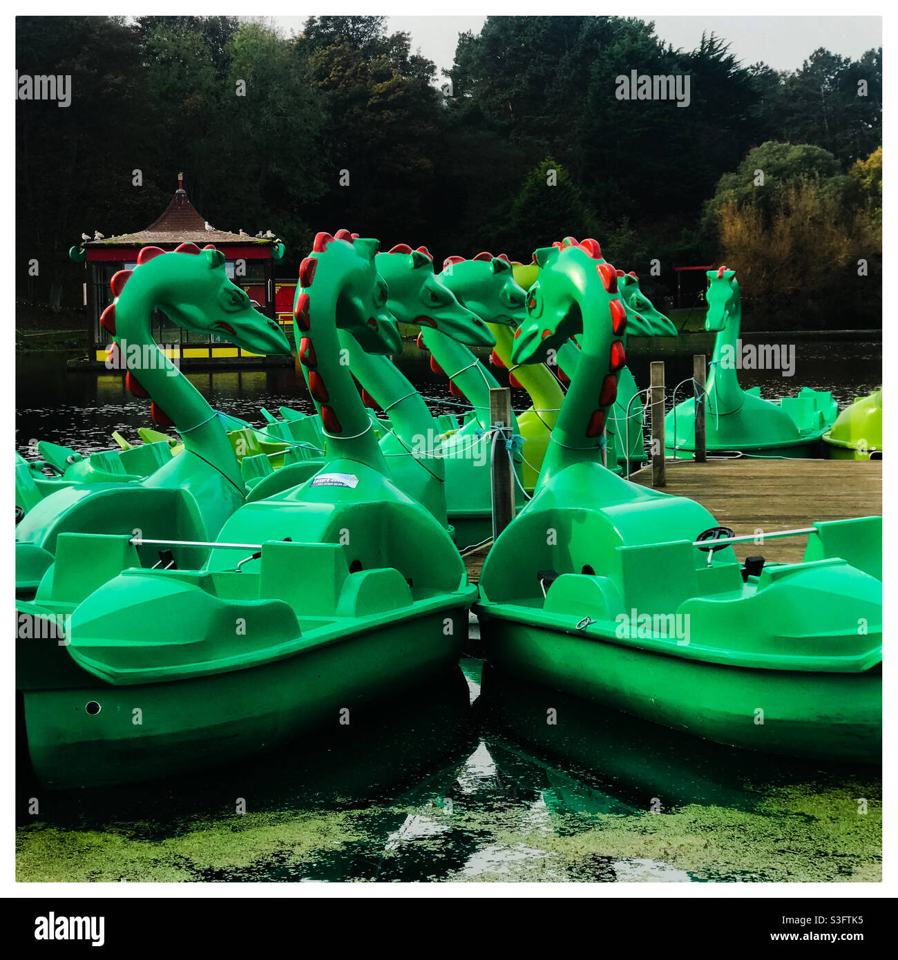 Green dragon pedal boats Stock Photo Alamy