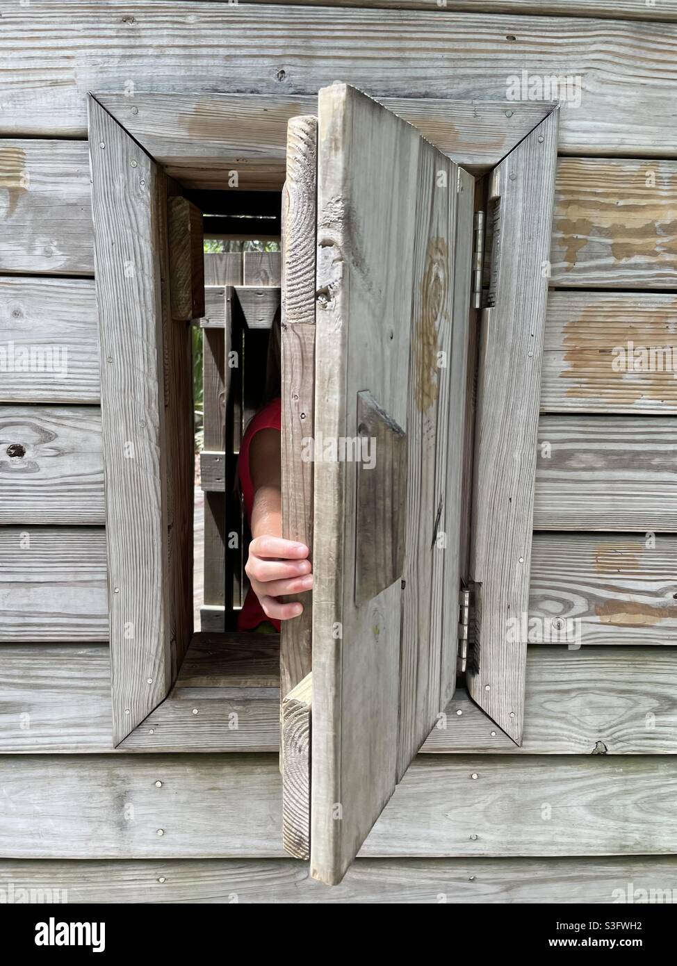 Small hand opening an outdoor wooden window - Smartphone Captured Stock Image