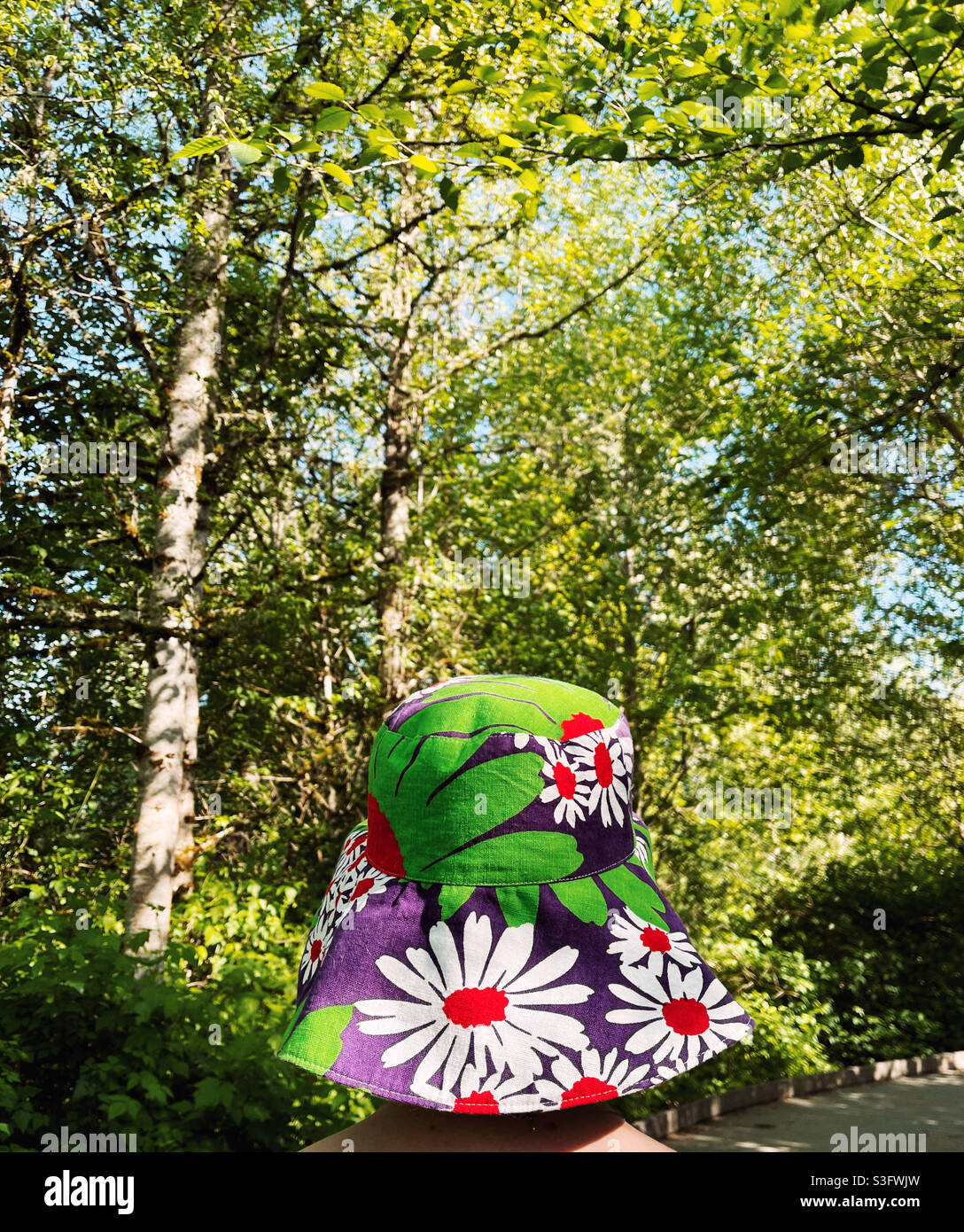 Fun hat for summer vacation - Smartphone Captured Stock Image