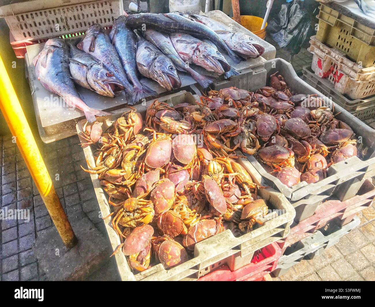 Crabs and fish for sale at a market in Valparaiso, Chile - Smartphone Captured Stock Image