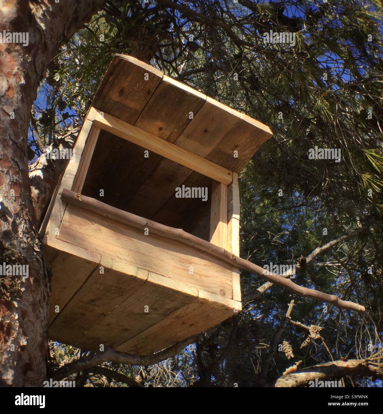 Kestrel nest box made from a pallet, Catalonia, Spain. Stock Photo