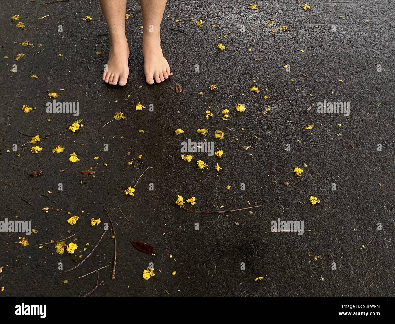 A teenager stand on a wet asphalt road after a rainfall - Smartphone Captured Stock Image