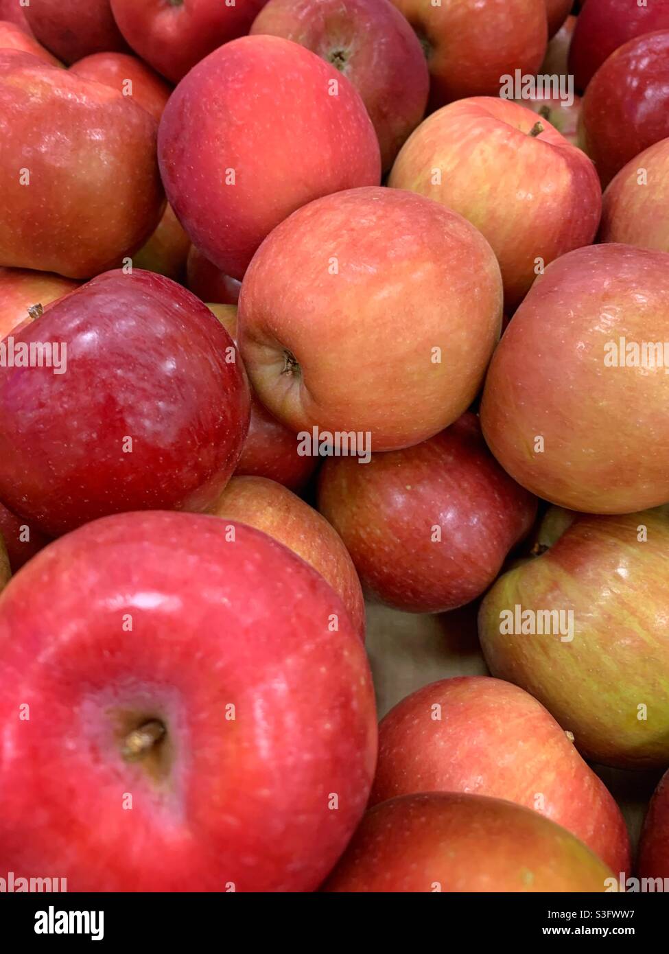 Bin of red apples Stock Photo