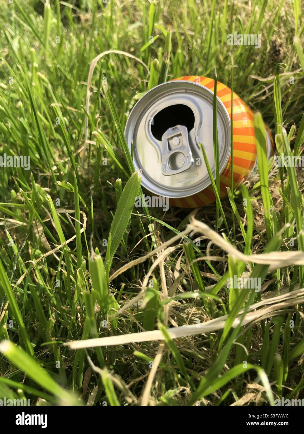 Discarded tin can on a grass roadside verge, in summer, United Kingdom Stock Photo