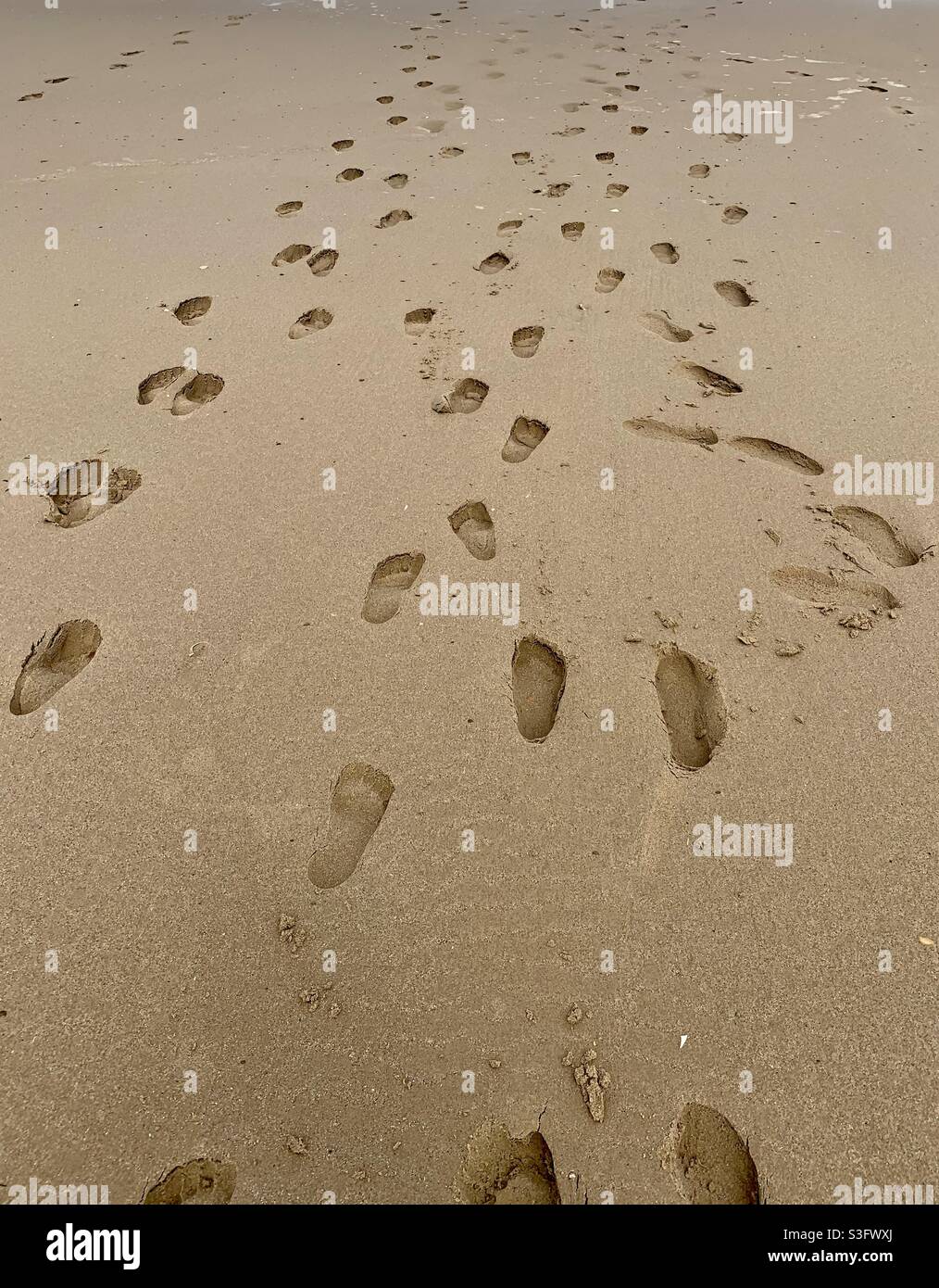 Footprints Wet Sand Hi res Stock Photography And Images Alamy