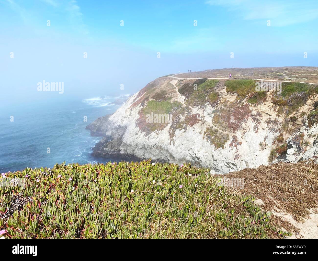 A cliffside trail at Bodega Head in California. Stock Photo