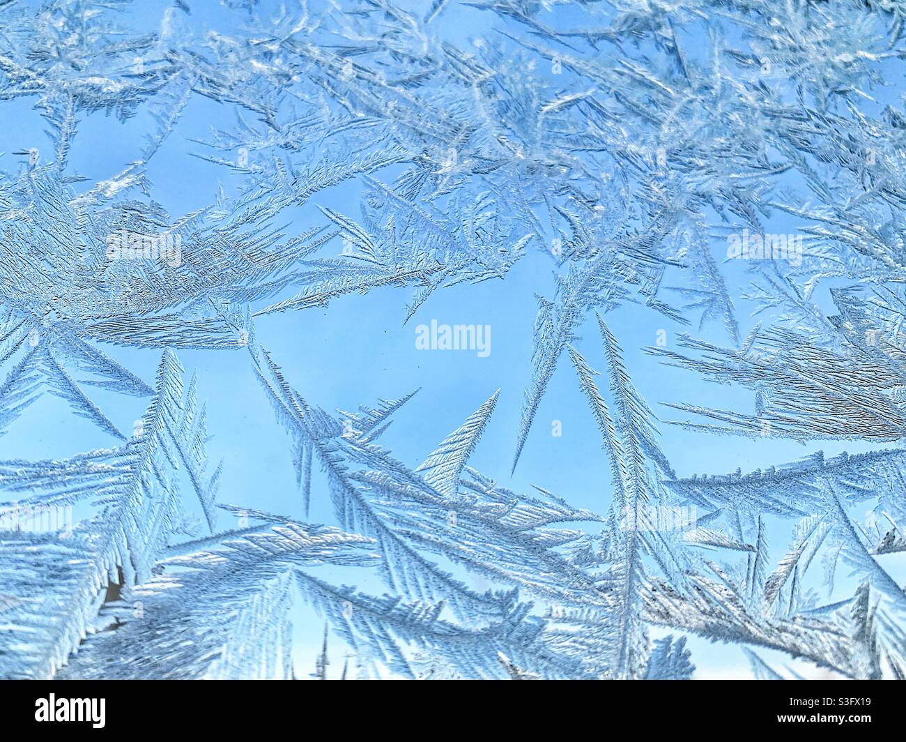 Grass Toned Blue Background Stock Photo By ©xload 55654593, 47% OFF