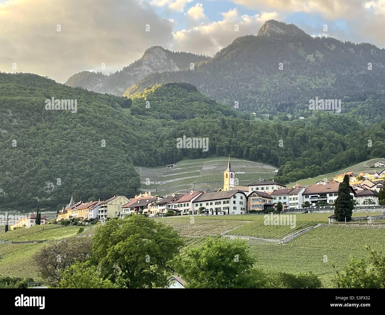 Town Yvorne surrounded by vinyards, Vaud, Switzerland Stock Photo