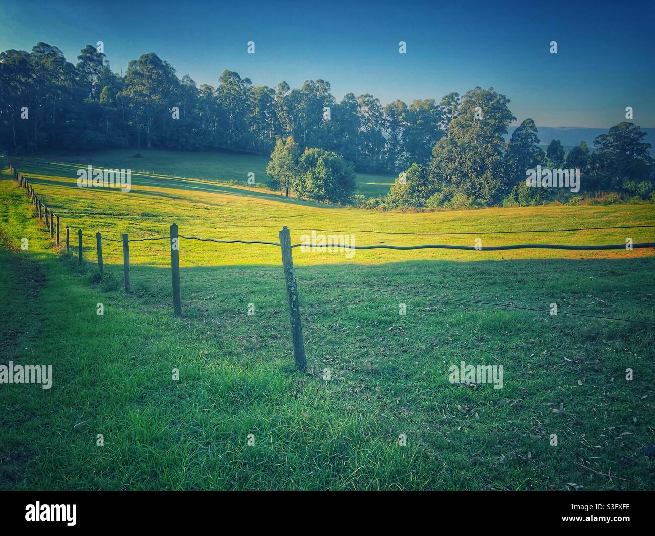 The line of a fence across a lush green field leading the eye to the trees in the distance - Smartphone Captured Stock Image