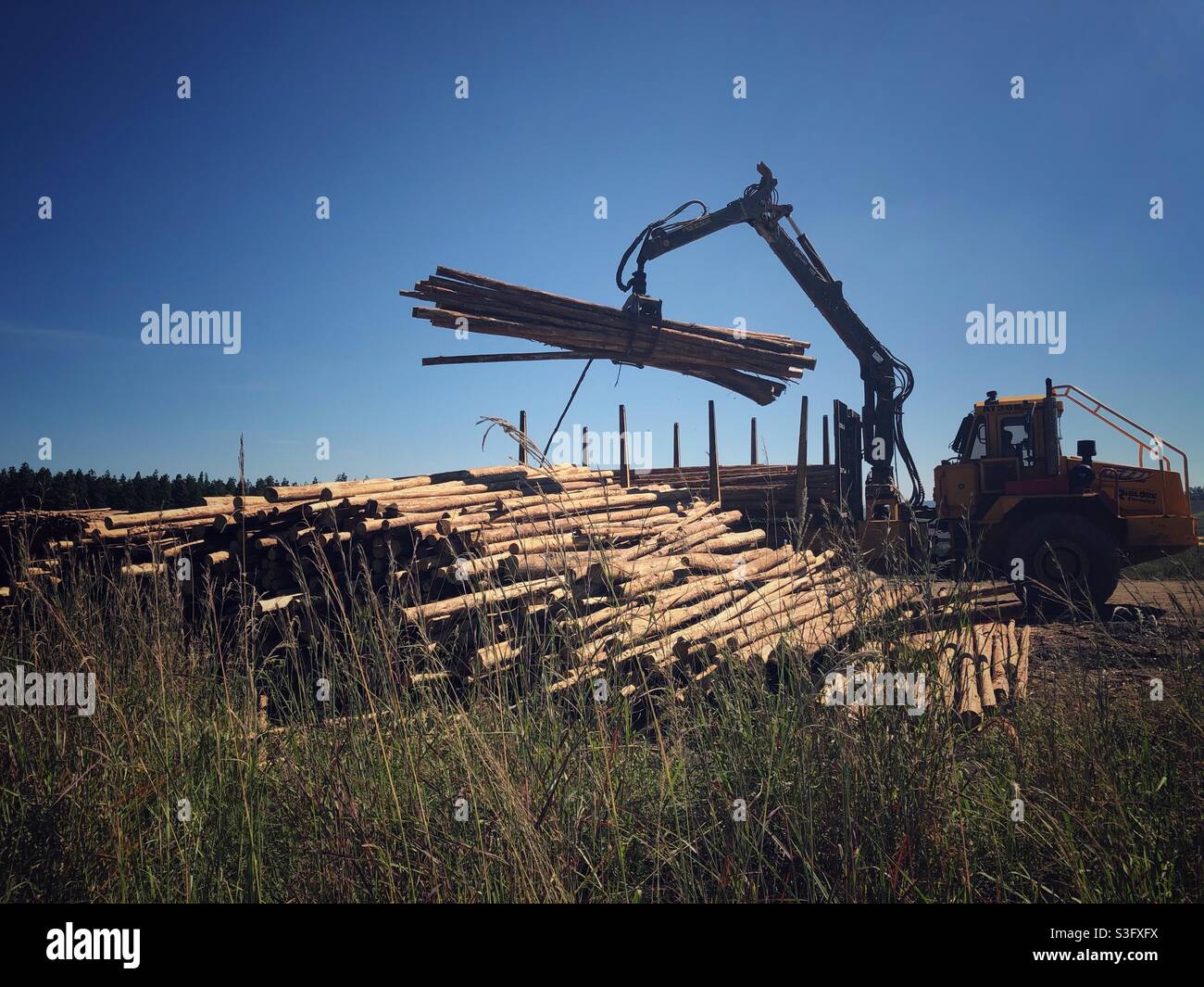 Loggers at work - Smartphone Captured Stock Image