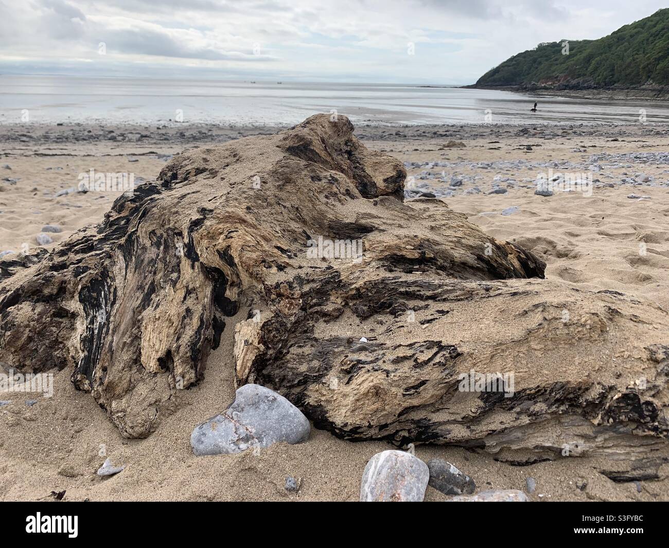 Oxwich bay hires stock photography and images Alamy