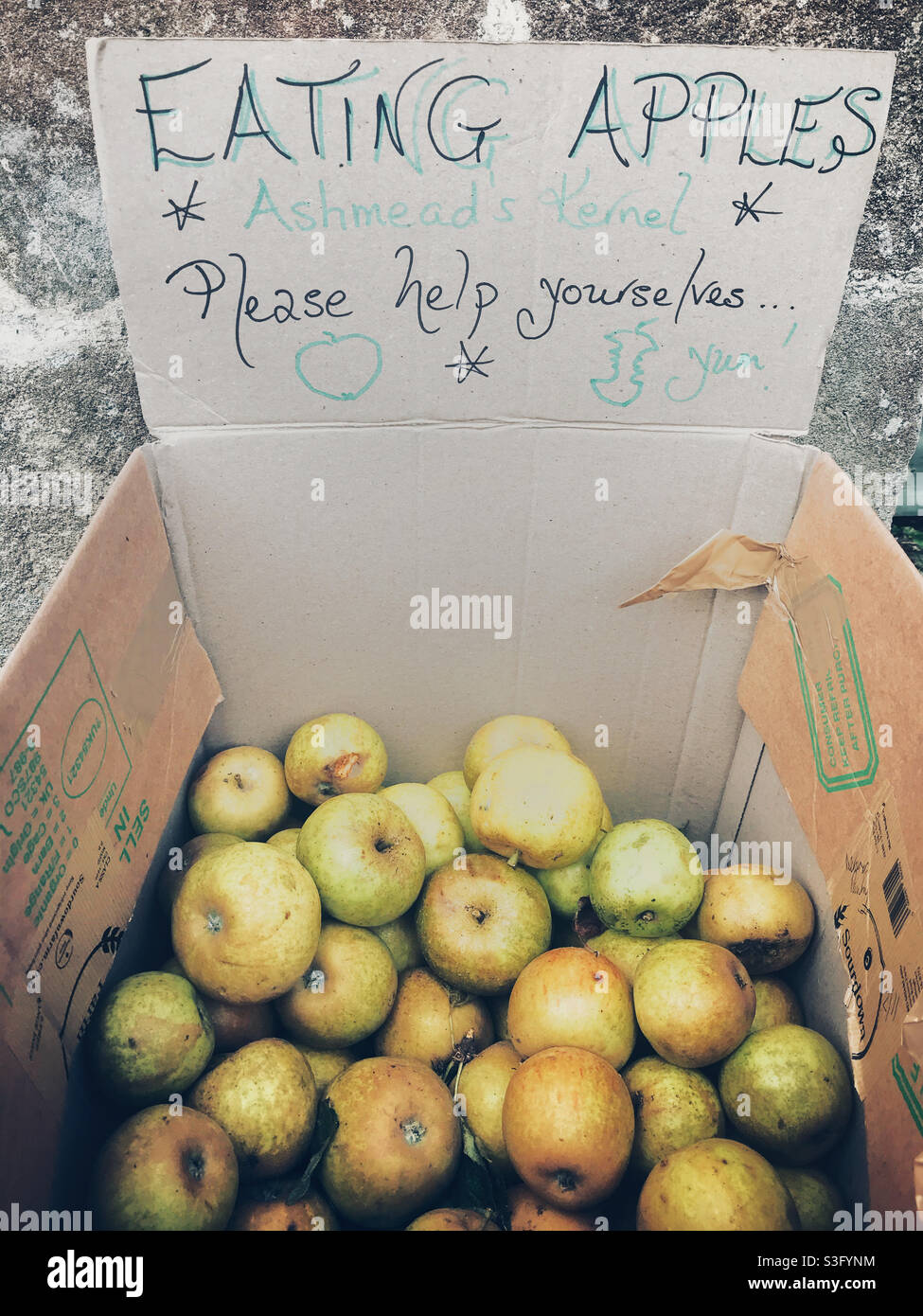 Free eating apples on the street in Glastonbury, Somerset - Smartphone Captured Stock Image